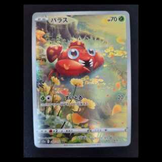 パラス AR 207/172