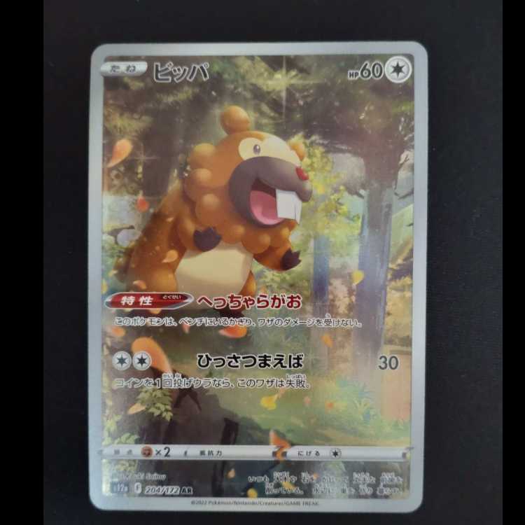 Bidoof AR 204/172
