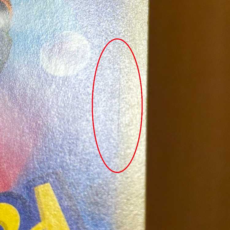 Umbreonex SAR 217/187 SV8a Pokémon Card Game Pokéka