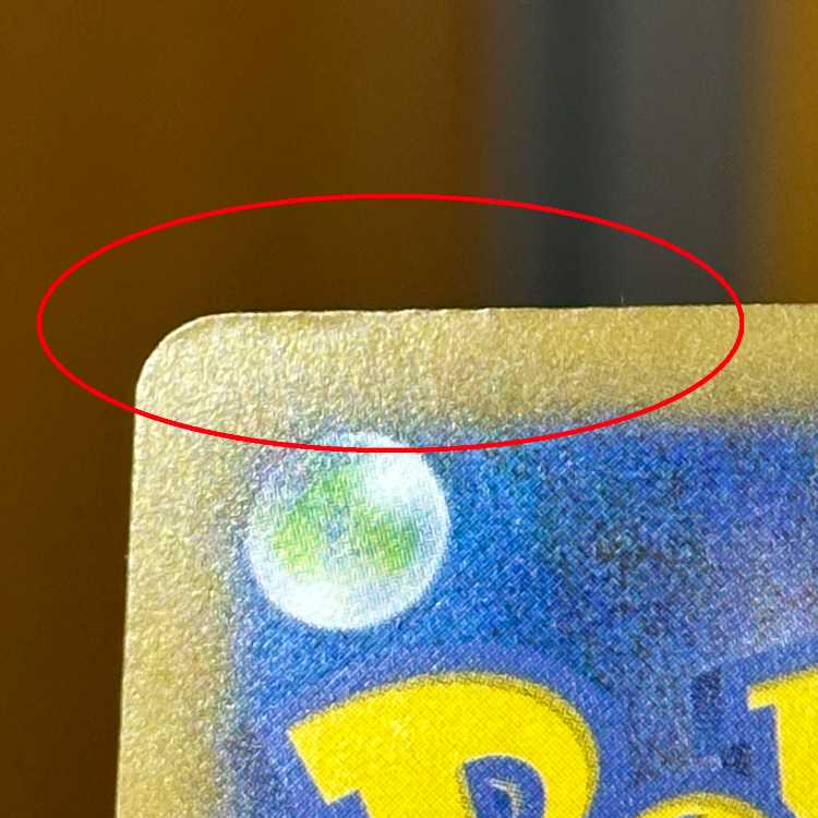 ナンジャモのハラバリーex SAR 125/100 SV9 ポケモンカードゲーム ポケカ