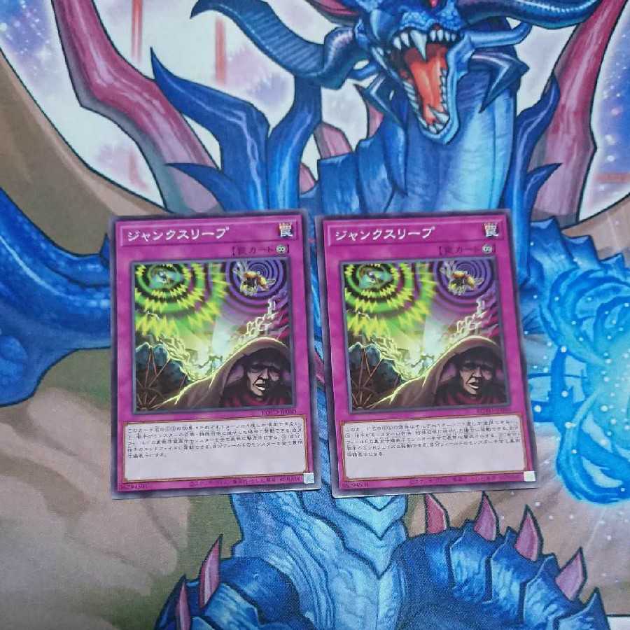 ジャンクスリープ 1枚