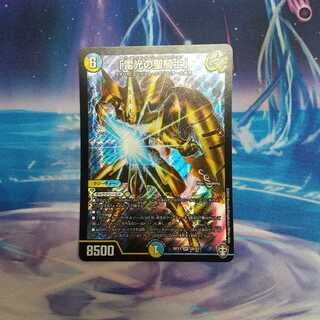 「雷光の聖騎士」