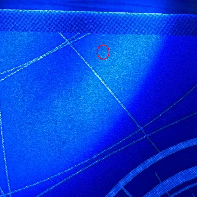 少女 プロモ P-096 ワンピースカードゲーム