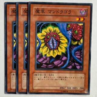 Magical Plant Mandragola EE1-JP127 Normal Set of 3 Yu-Gi-Oh Trekkers Road