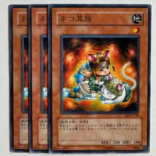 ネコ耳族 EE1-JP136 ノーマル 3枚セット 遊戯王 トレカ道