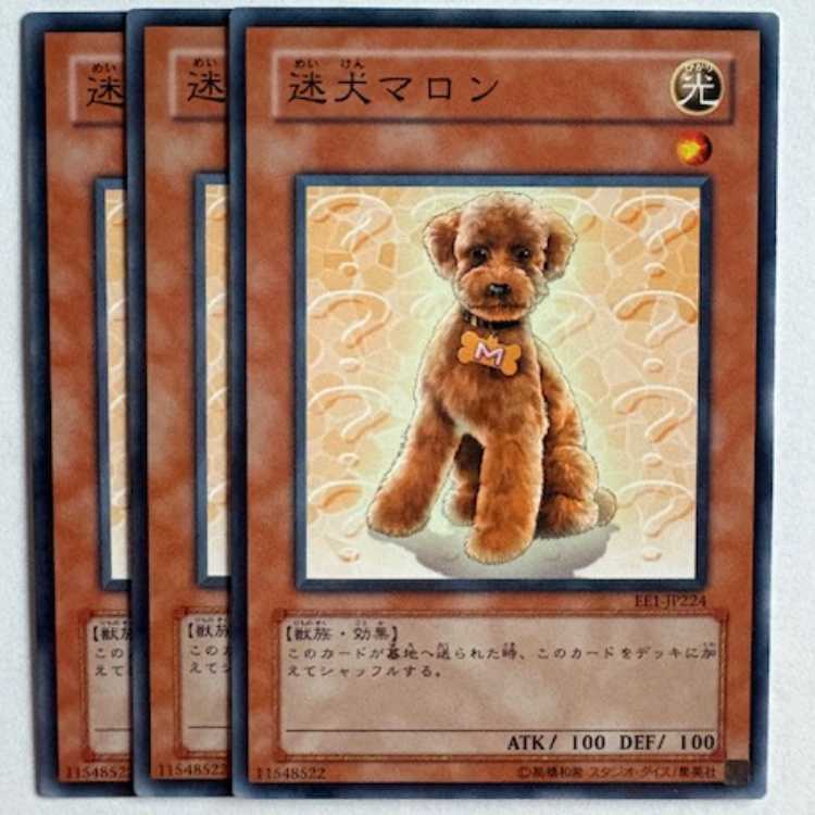 迷犬マロン EE1-JP224 ノーマル 3枚セット 遊戯王 トレカ道