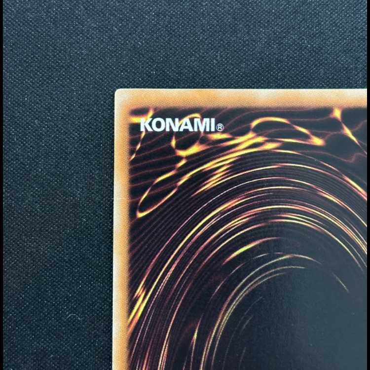 ブラックローズドラゴン [レリーフ] {CSOC-JP039}