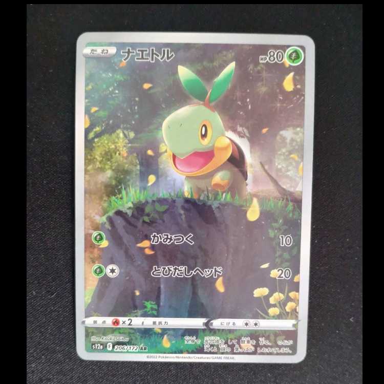 Turtwig AR 206/172