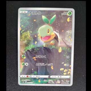 Turtwig AR 206/172