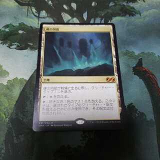 魂の洞窟【日本語】【UMA】