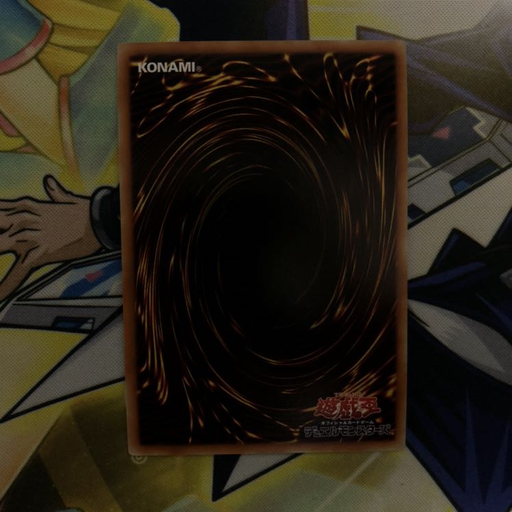 インスペクト・ボーダー SE 1枚