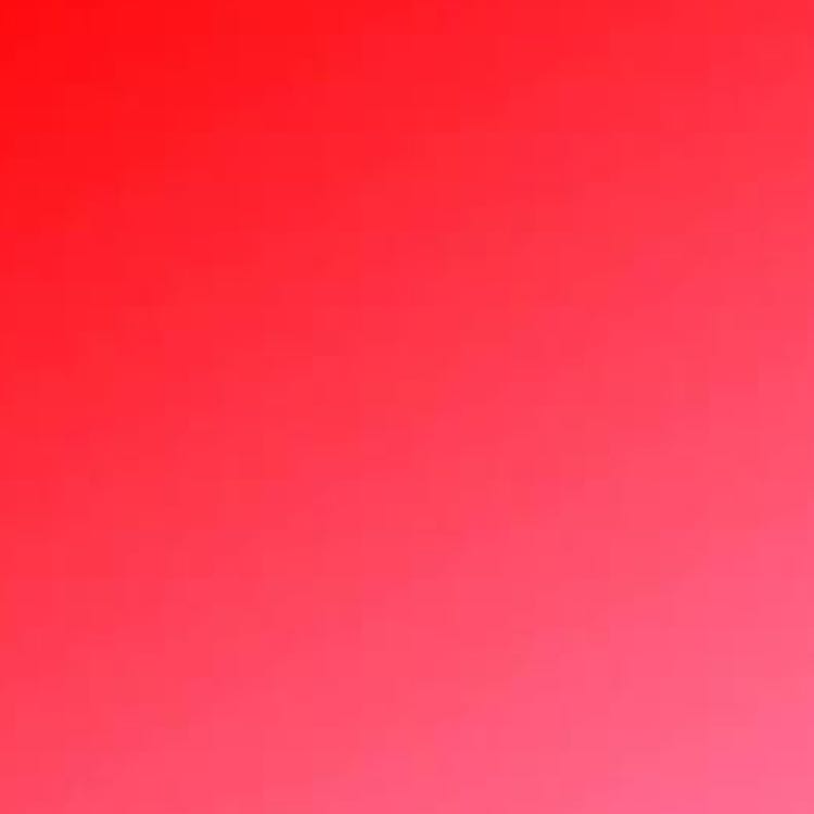 えび様専用 1枚