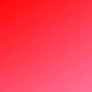 えび様専用 1枚