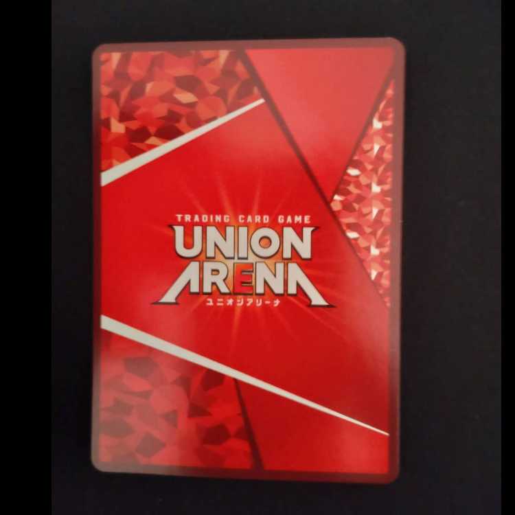 SanIsland Ippachi (parallel) SR★ UA13BT/TKN-1-092