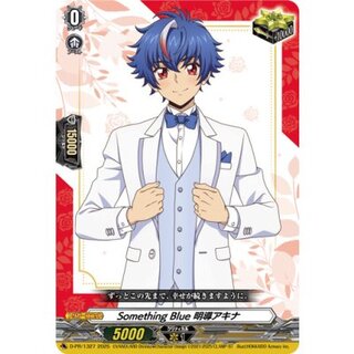 SomethingBlue Akina Meidou [PR] {D-PR/1327}