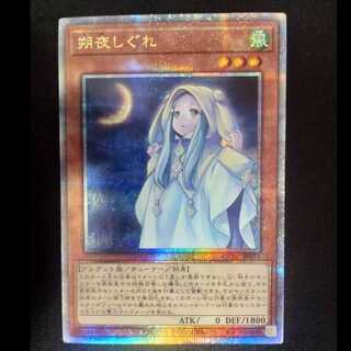 朔夜しぐれ QCSE・25thシク QCAC-JP053