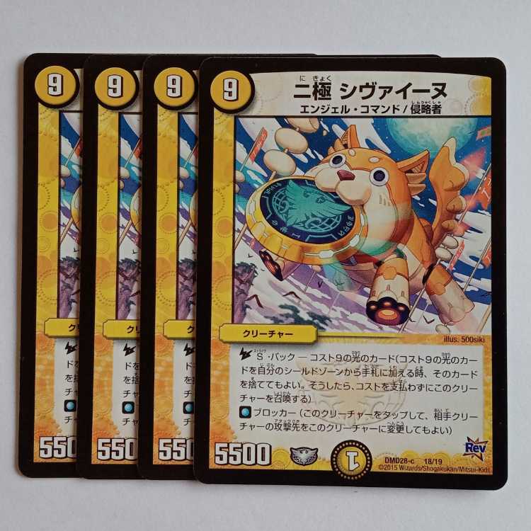 Nipolar Shivaine, set of 4 DMD28 18/19 DUEMA Trekkers Road