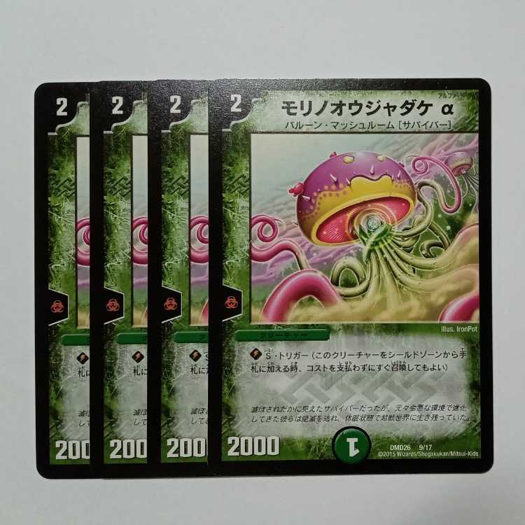 Morino Oujadake Alpha, set of 4 DMD26 9/17 DUEMA Trekkers Road