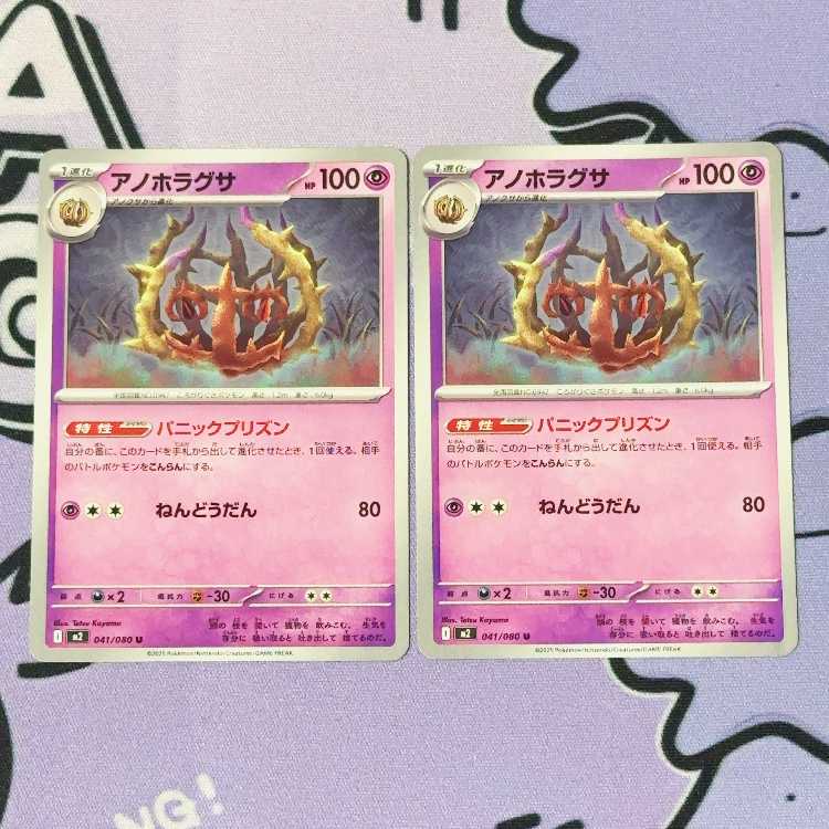 Anohoragusa U 041/080