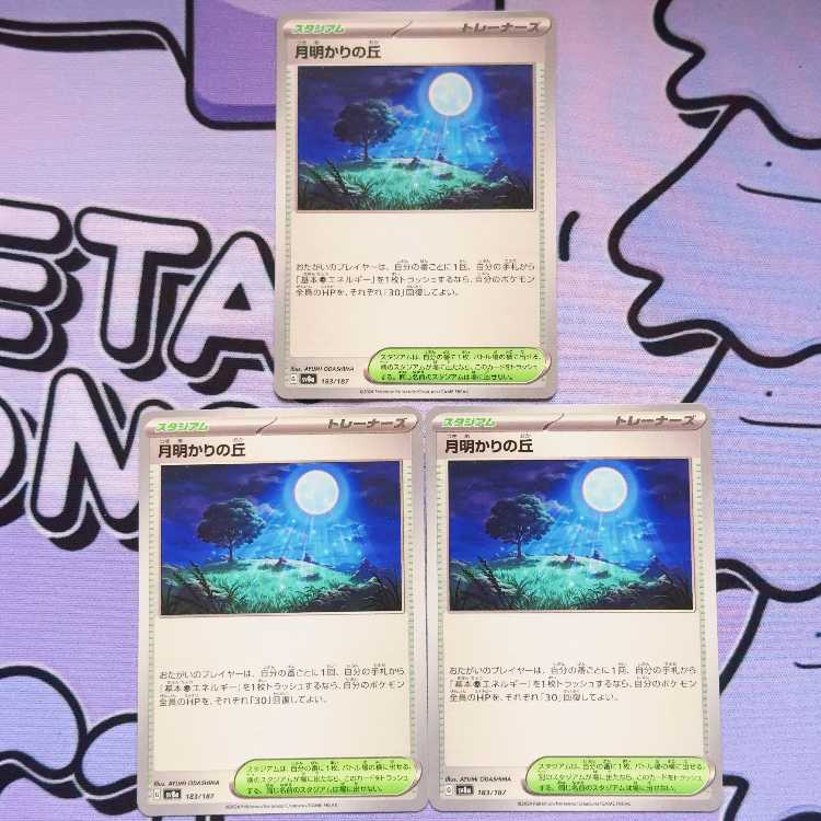 月明かりの丘 183/187