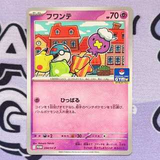 Drifloon PROMO 234/SV-P