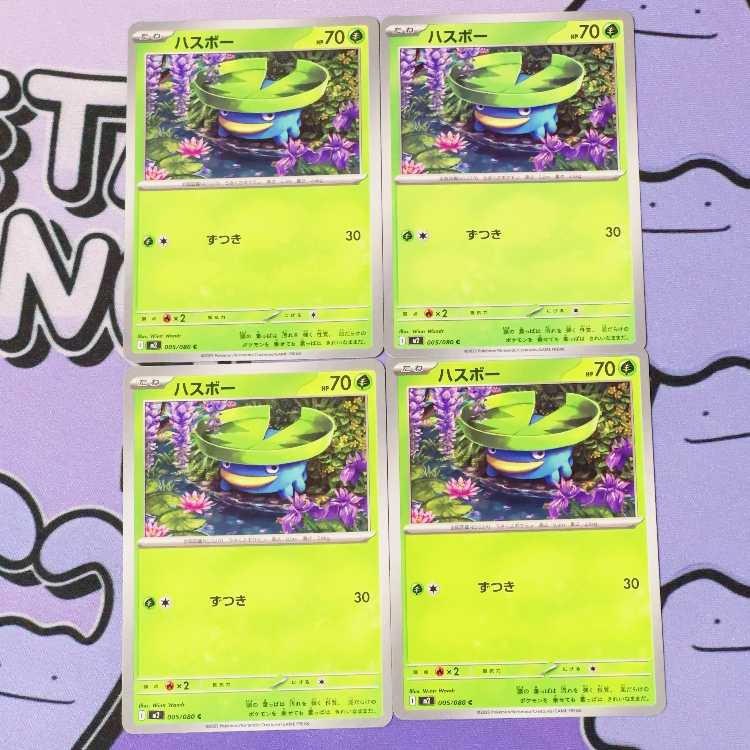 ハスボー C 005/080