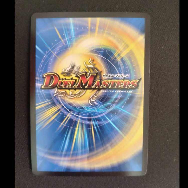 Knowledge, Flux and Time-Space Decisions SR SP2/SP5