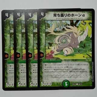 Growing Horn Alpha, set of 4 DMEX18 68/75 DUEMA Trekkers Road