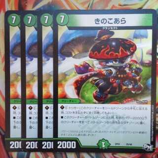 きのこあら 四枚セット