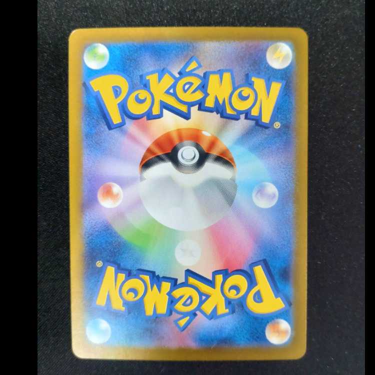 フシギダネ AR 166/165