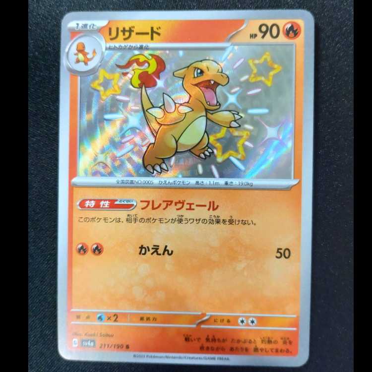 リザード S 211/190