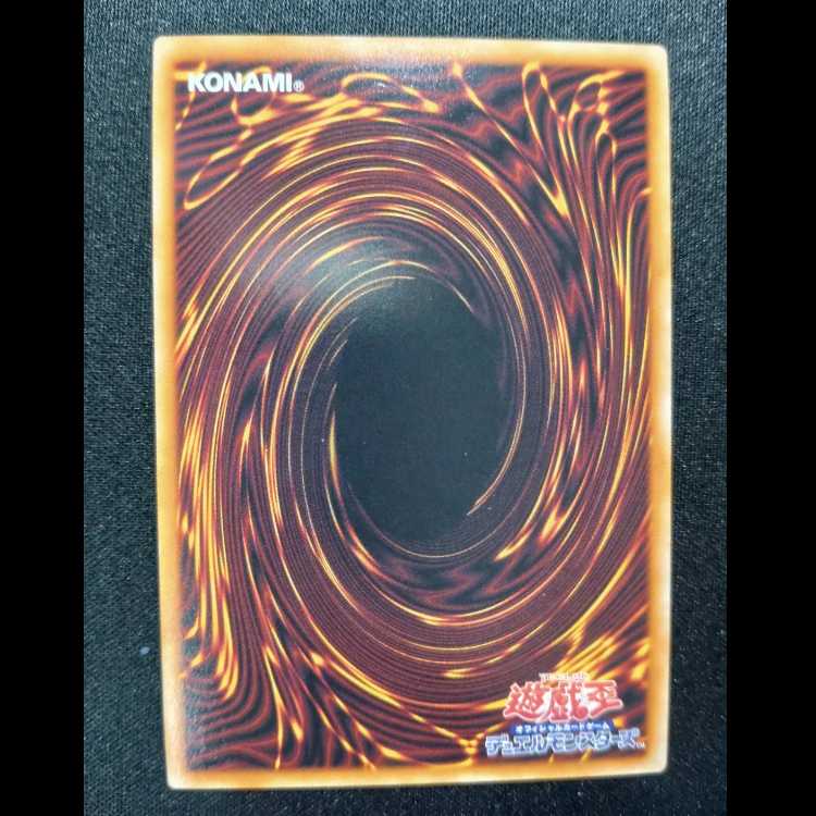 Teaching Lightning Fullde Squirrel Ultimate Rare DOOD-JP026