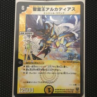 聖霊王アルカディアス VR