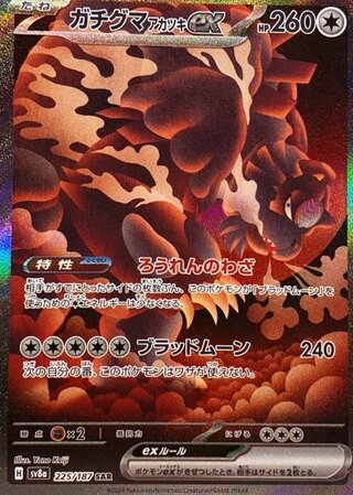 Gachiguma akatsuki ex (SAR) {225/187} [SV8a/terrestal festival ex] [SV]