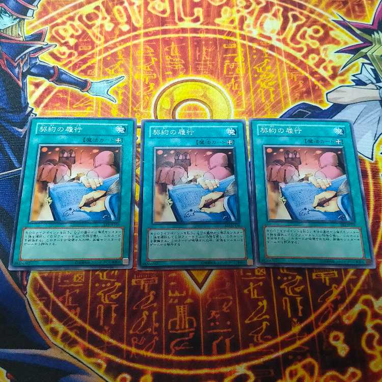 Fulfillment of the Contract Normal JP166