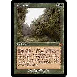 [EX+](FOIL)(old frame specs)Sylvan Library/Sylvan Library《Japanese》【DMR