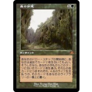 [EX+](FOIL)(old frame specs)Sylvan Library/Sylvan Library《Japanese》【DMR