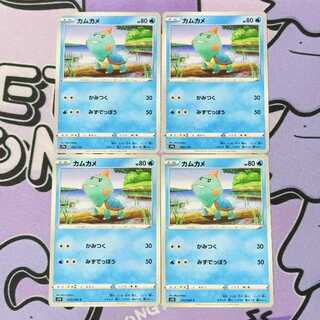 カムカメ C 013/060