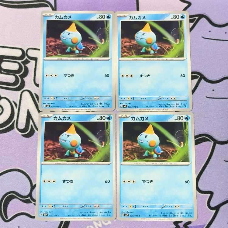 カムカメ C 025/102