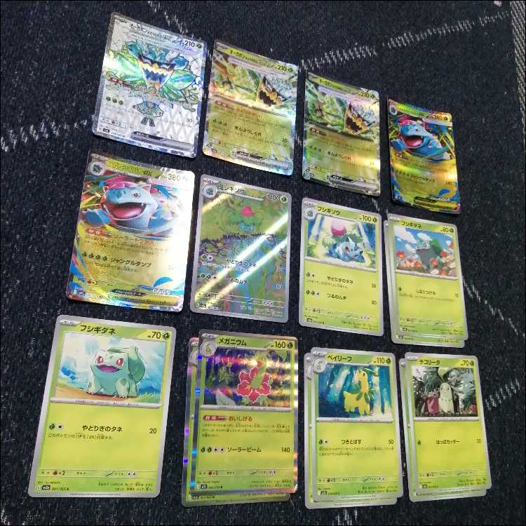 ポケモンカード　メガフシギバナex　オーガポンex　デッキ　[04344]