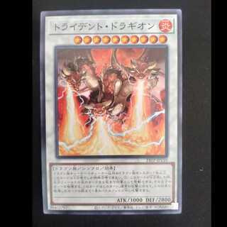 Trident Dragion Normal rare JP110