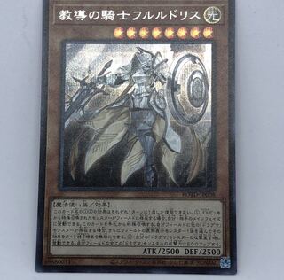 教導の騎士フルルドリス SE