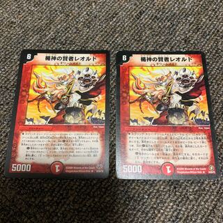 楯神の賢者レオルド