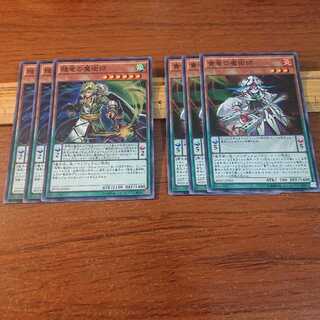 賤竜の魔術師  貴竜の魔術師 2種6枚