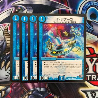 T・アナーゴ 4枚