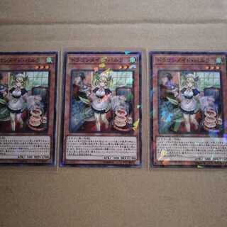 ドラゴンメイド・パルラ P-N