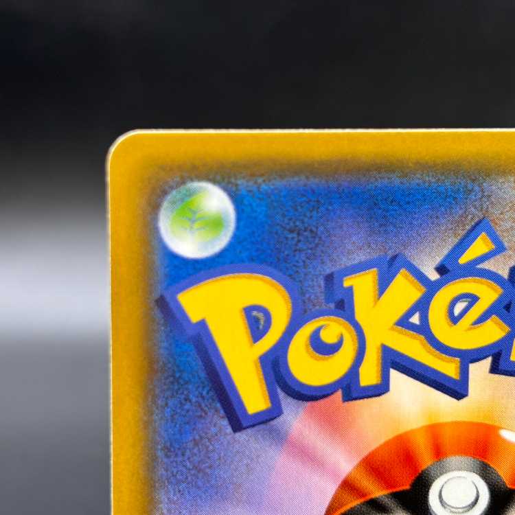 ★SALE★レシラム&リザードンGX SA (SR) {097/095} [SM10]