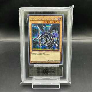 【ARS10＋】真紅眼の黒竜 (英語版/ナイキロゴ) [シークレット] {NKC1-EN002}