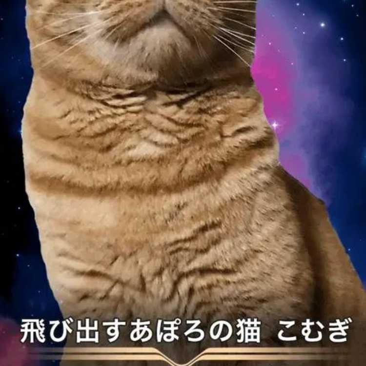 クリプトスペルズ/クリスペ/画像４点各２枚セット