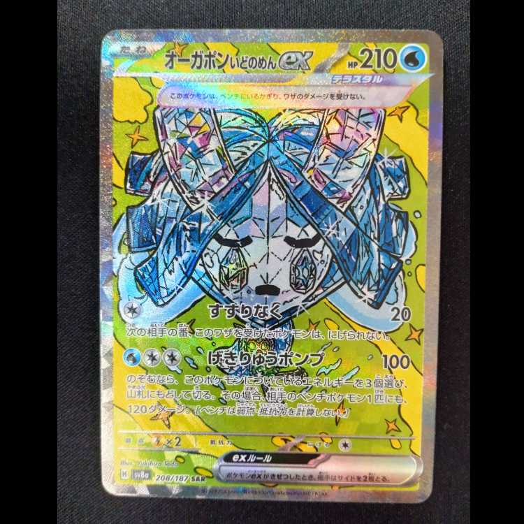 オーガポンいどのめんex SAR 208/187